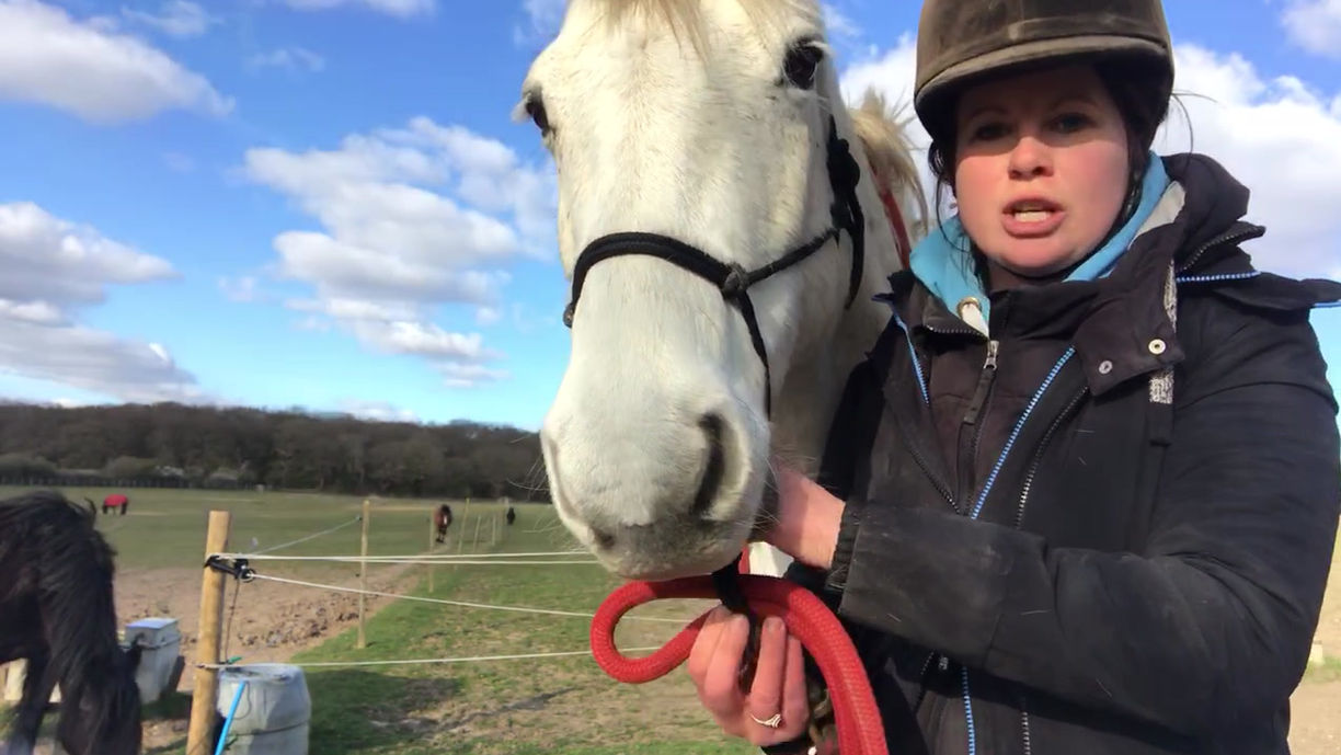 Knot tying reins
